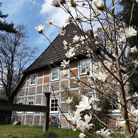 Schoenes Apartment Vor Den Toren Hamburgs - Keine Monteurwohnung Asendorf Eksteriør bilde
